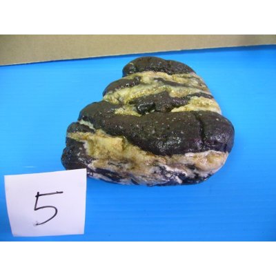 画像1: 自然石