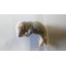 画像6: 冷凍マウス・ラット・ヒナウズラ・ヒヨコ・イナゴ
